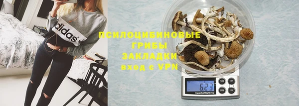 PSILOCYBIN Магас