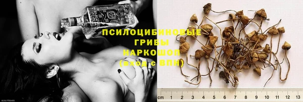 PSILOCYBIN Магас
