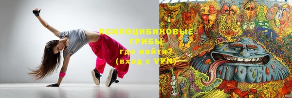 PSILOCYBIN Магас