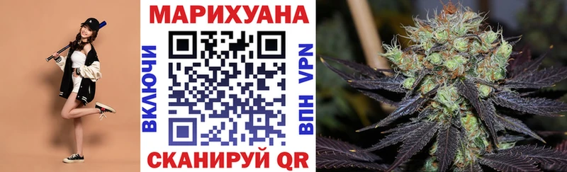Канабис план  Шагонар 